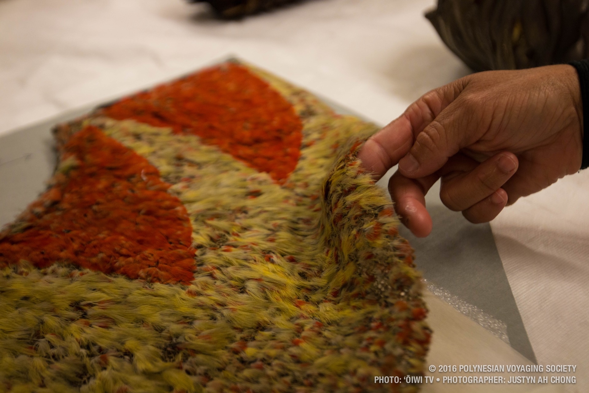 A crewmember observes the delicacy of an ʻahu ʻula. The crew was privillaged to be able to actuallly experience the objects through touch.