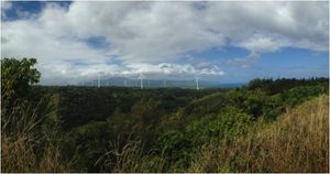 waimea 1