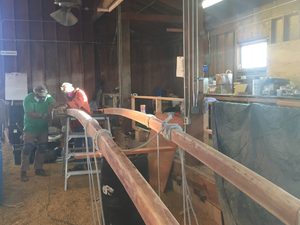 IMG_0606