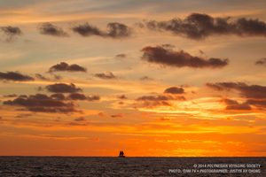 IMG_4459