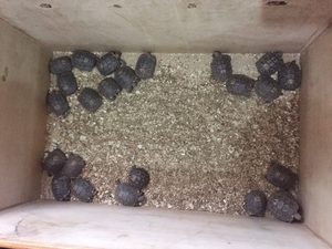 image1 (5)