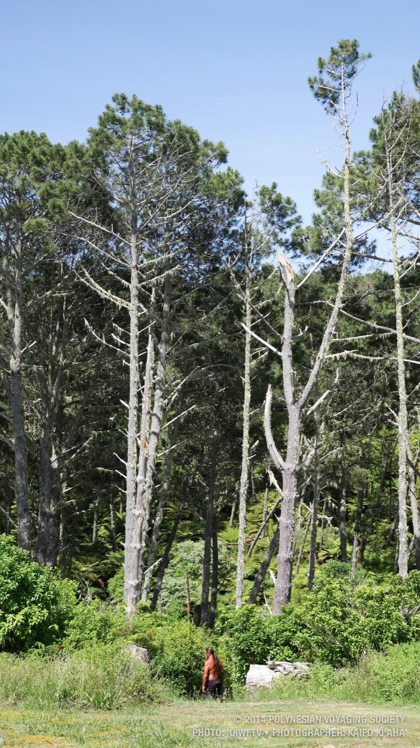 P1120060