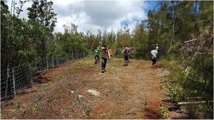 Section that will soon be ready for native species to be planted. PC: Hye Jung Kim.