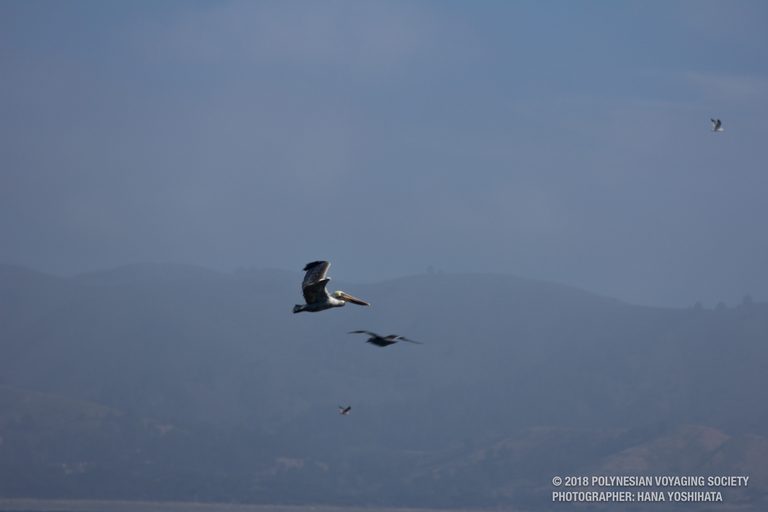 img-10