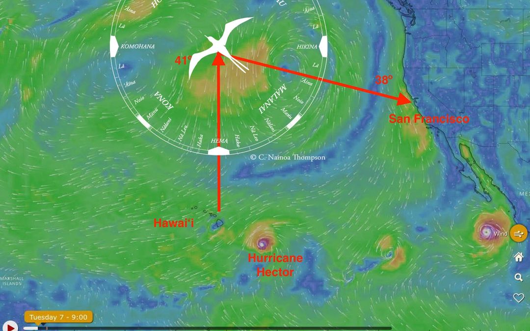 Crew Blog | Tamiko Fernelius: A Hurricane and Sail Plan