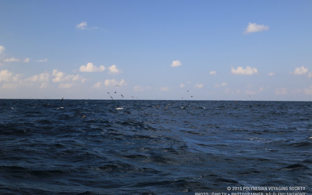 Hōkūleʻa Update | August 19, 2015