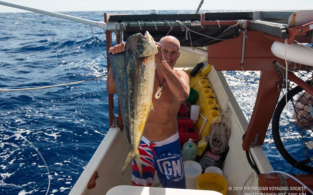 Hikianalia Update | Aug 25, 2018: Navigation Update