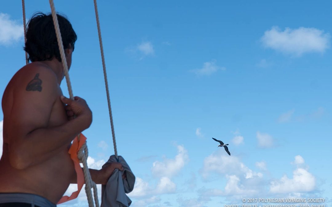 Hōkūleʻa Nav Report | Mar 27, 2017: Marquesas Day 20