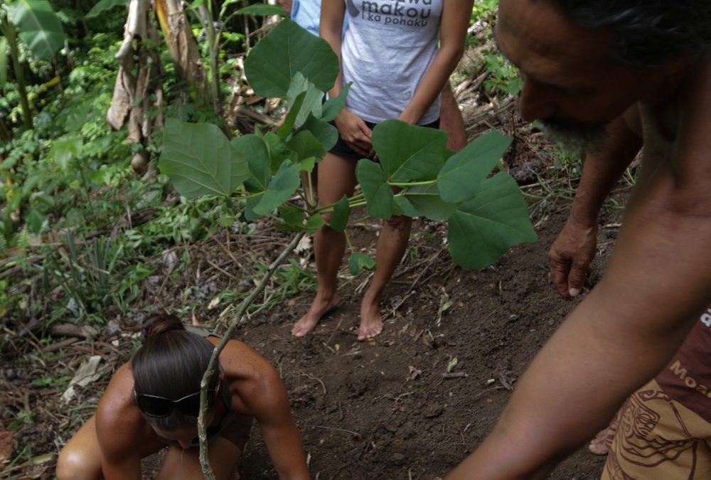 Propagating Peace Update