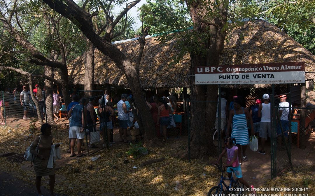 Crew Blog | Austin Kino: Viviero a La Mar