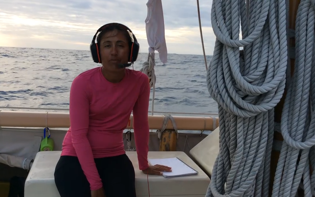 Hōkūleʻa Update | February 14, 2017: Noe’s Afternoon Update
