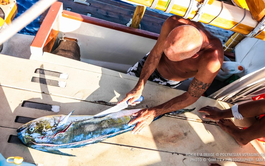 Mahimahi Breakfast