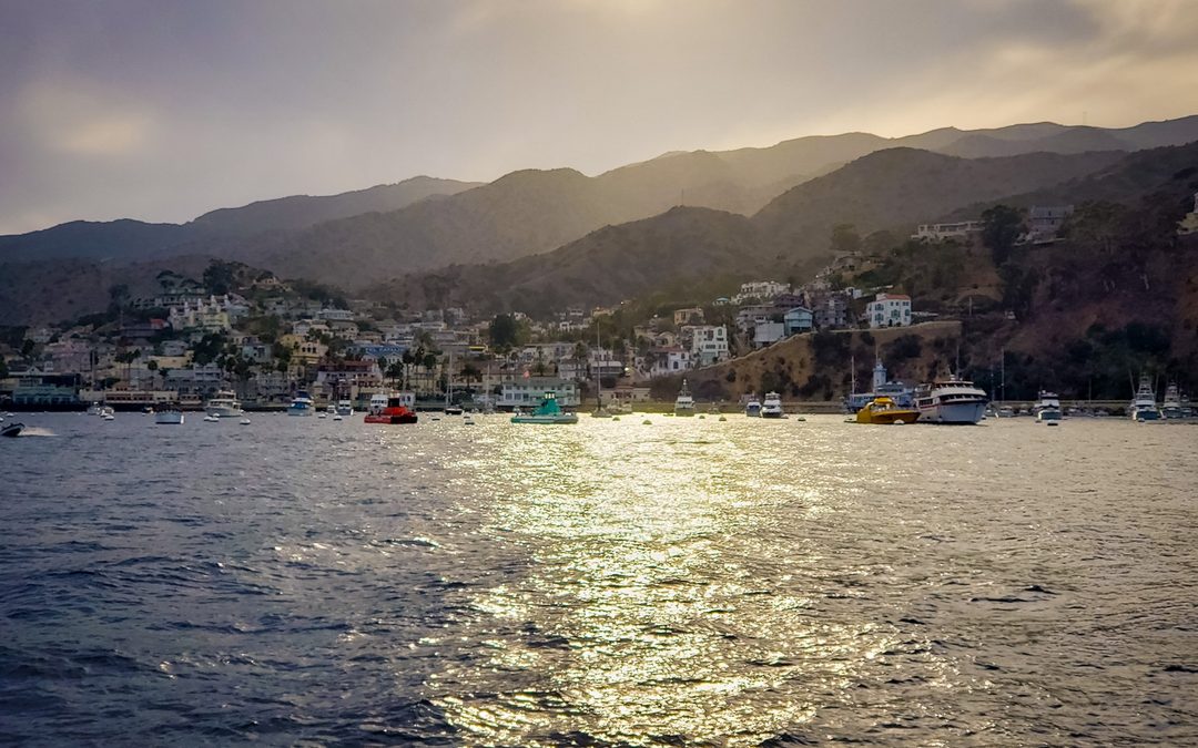 Hikianalia Video Update | Oct 22, 2018: Catalina Island
