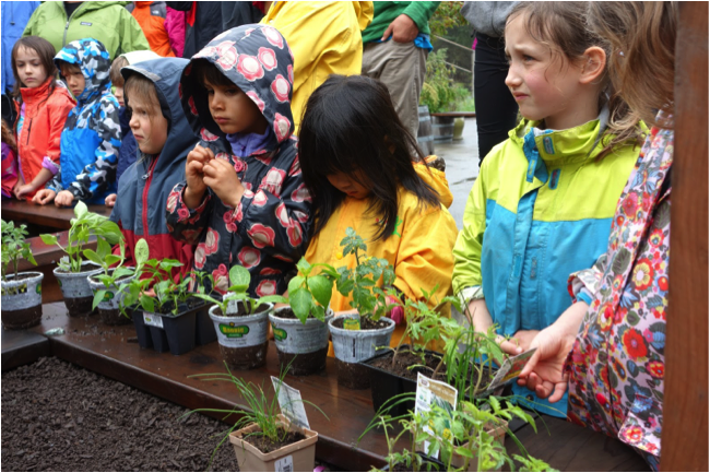 Classroom Connections: New Village School
