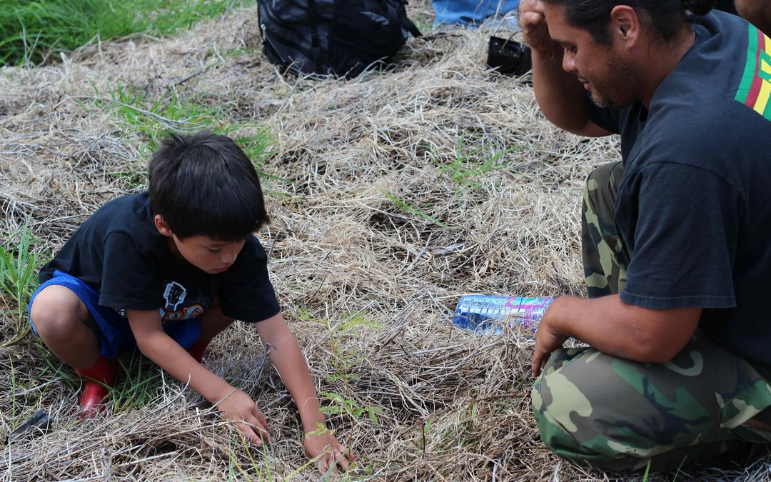 Learning Journey: Planting Native Trees in Keauhou, June 7