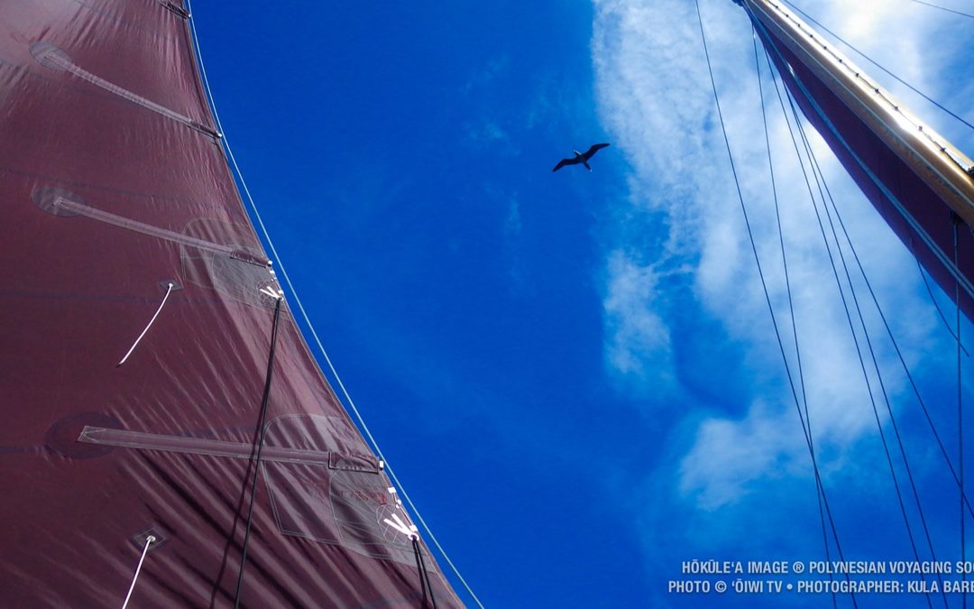 Blog | Kula Barbieto: Sailing is Like Flying