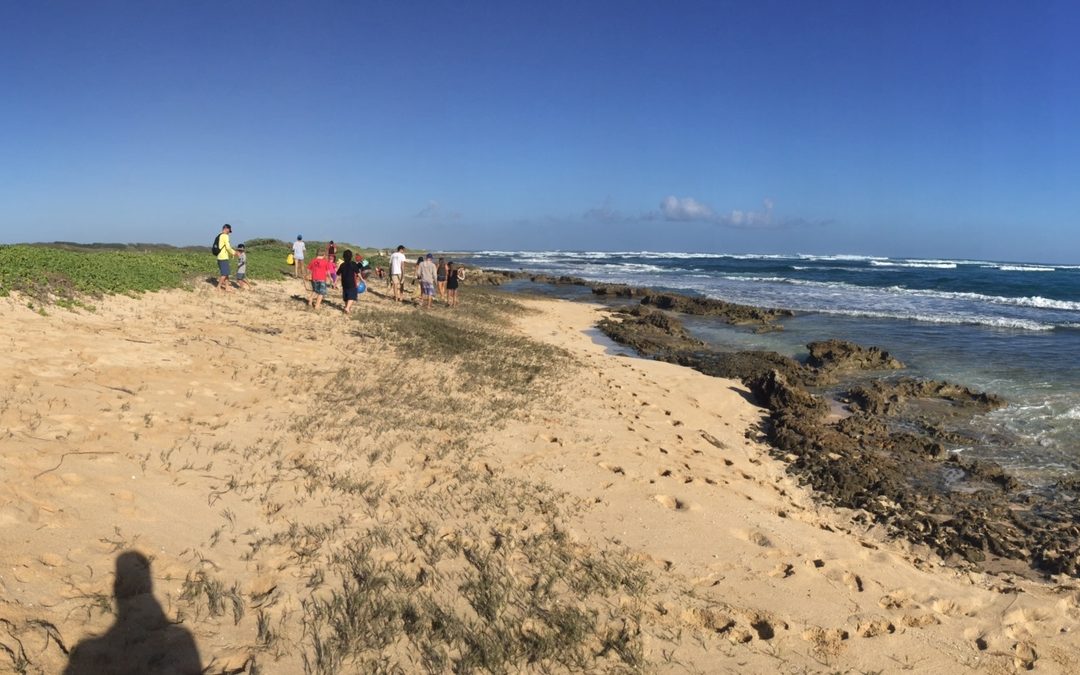 Worldwide Voyage Update | Plastic Free Hawaii Beach Cleanup
