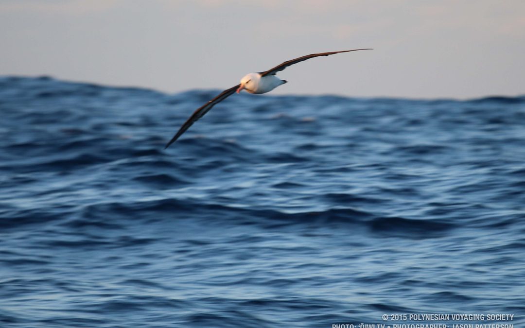 Hikianalia Science Update | April 28, 2015