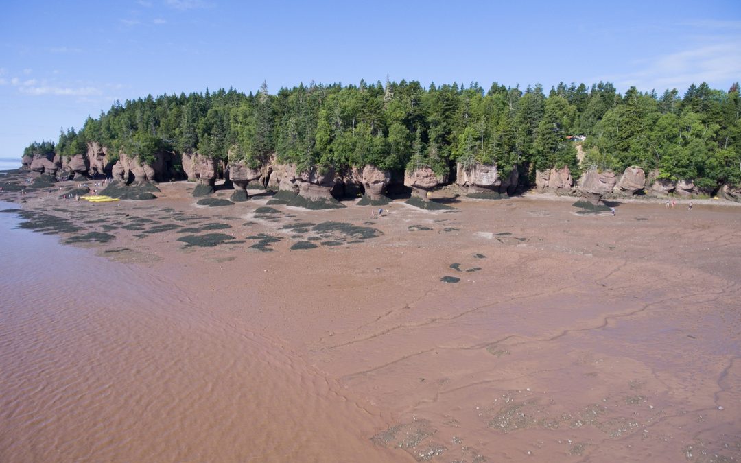 Hōkūleʻa Update | Bay of Fundy