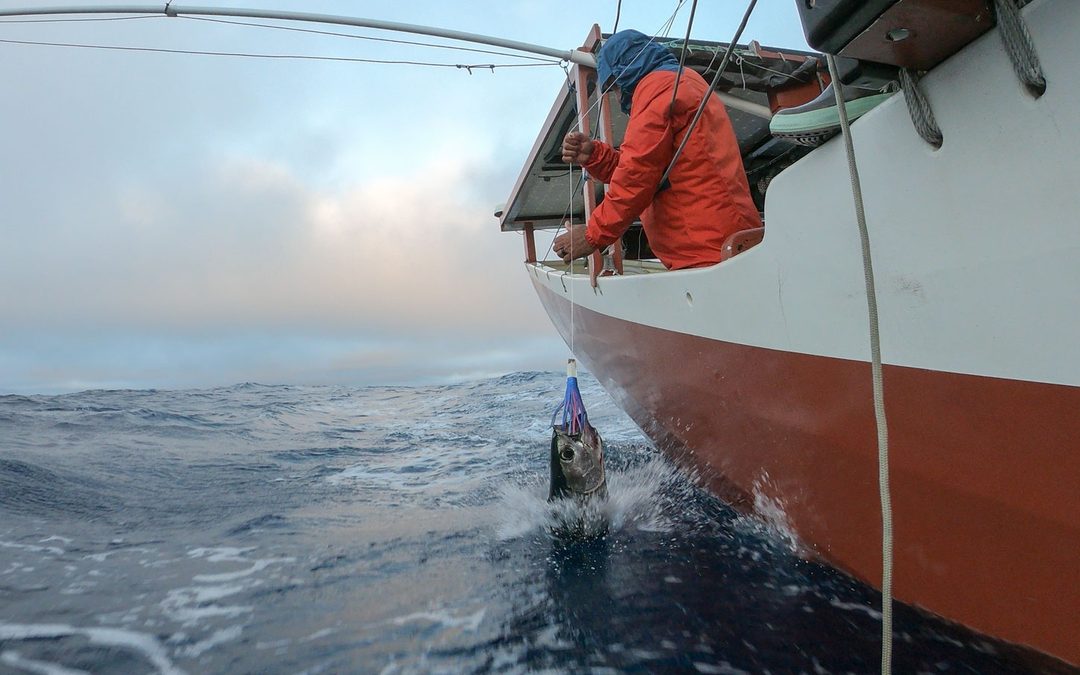 Hikianalia Update | Aug 30-31, 2018: Happy Birthday Keli!