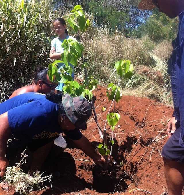 Learning Journey: Sust’ainable Moloka‘i and Moloka‘i High School Permaculture Garden (July 12)