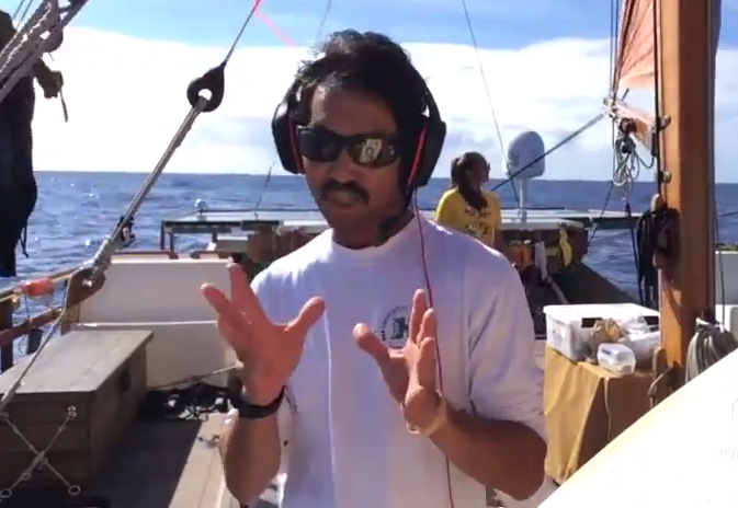 Ask the Crew | Keala Kimura: Interesting Sea Life