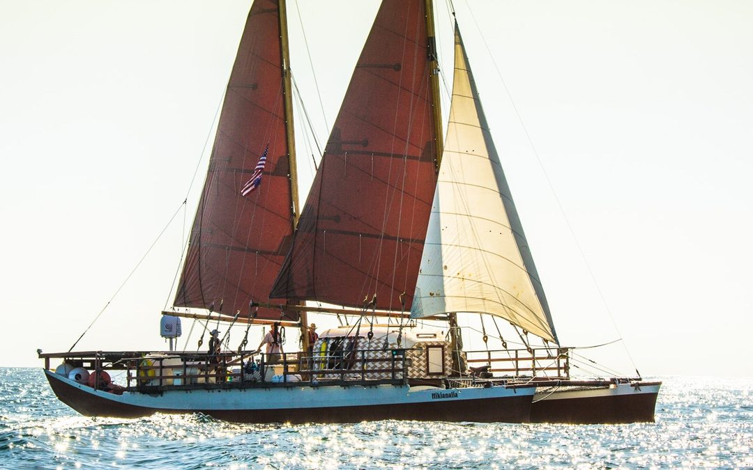 Hikianalia is in San Diego!