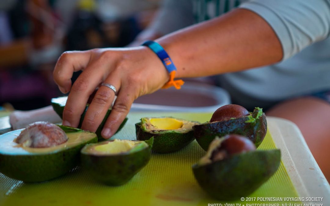 Crew Blog | Dr. Boranian: Connecting Functional Medicine to Mālama Honua
