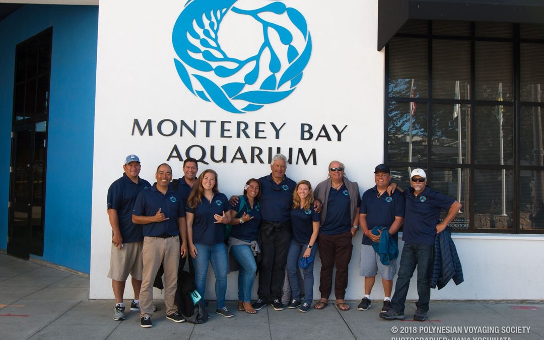 Hikianalia Video Update | Oct 1, 2018: Monterey Aquarium