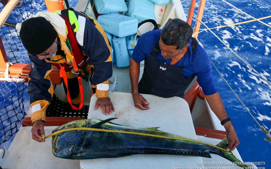 Hikianalia Update | April 22, 2015